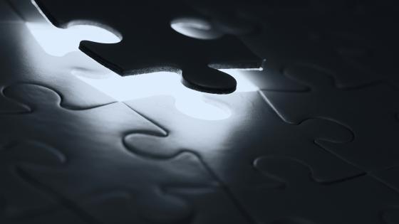 puzzle piece